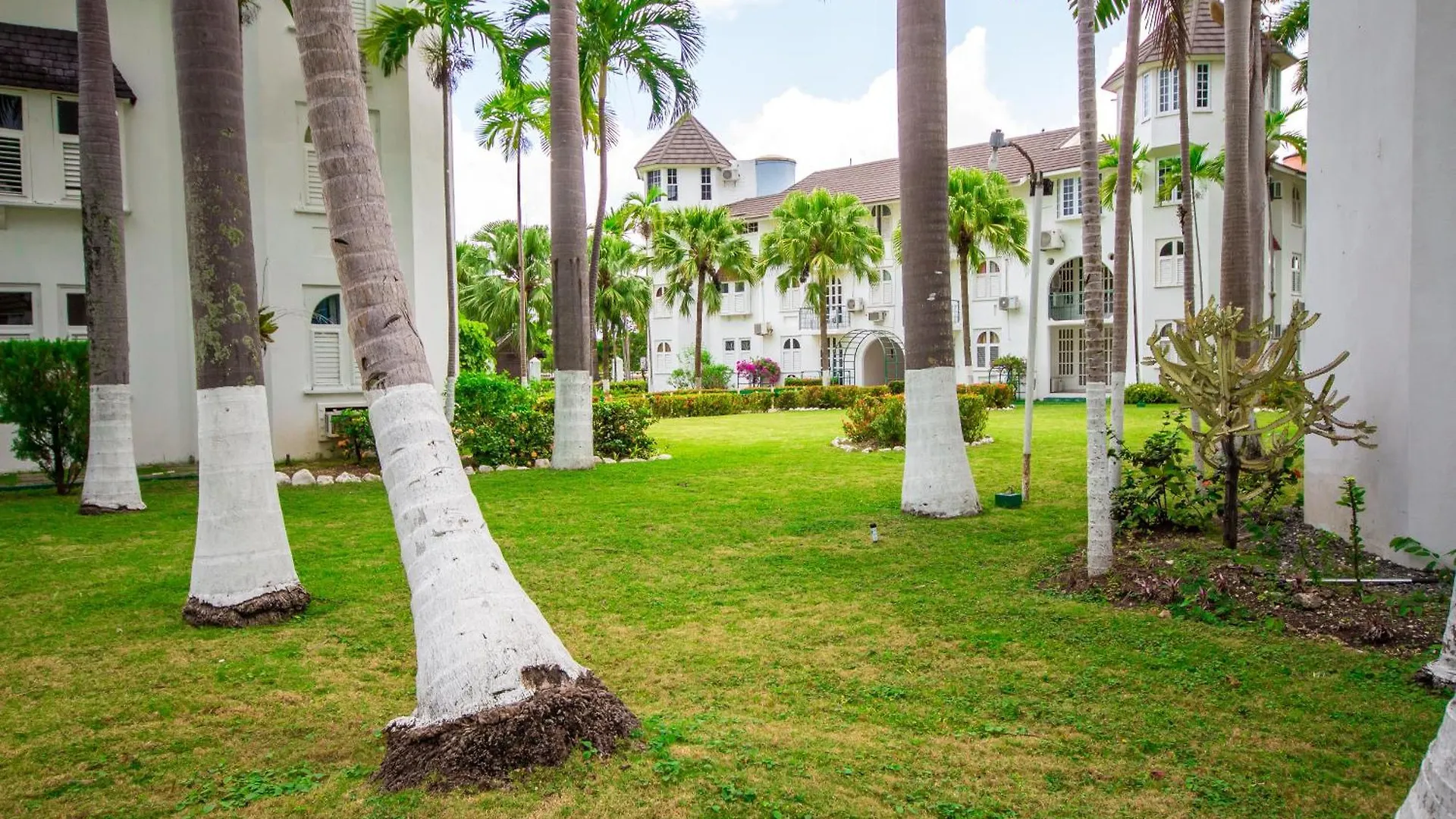 Apartment Heart Of Ocho Rios-Beachfront Studio-King Bed-Free Beach Access-Pool-Free Wifi 100Mbps
