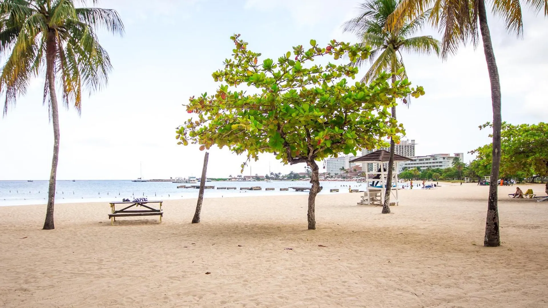 Heart Of Ocho Rios-Beachfront Studio-King Bed-Free Beach Access-Pool-Free Wifi 100Mbps 0*,